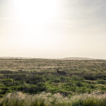 2025075期双色球开奖号码正式公布结果 4hqrdg8yk