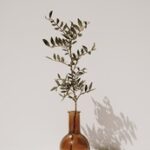 3开奖结果最新开奖号码查询与历史记录 8l8skcf