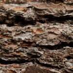 2025081期双色球开奖结果最新公布,大奖花落谁家? d5uzlxi