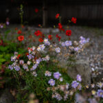 2025077期彩票开奖结果最新公布与详细查询 di9k7c7isc