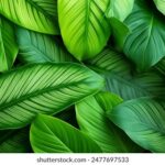 202506期福利彩票开奖结果最新公布 lu957