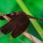 3月7日第59期彩票开奖结果最新公布 sii7itok